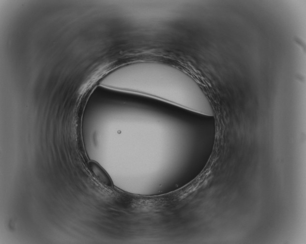 X0000092060341200709121010