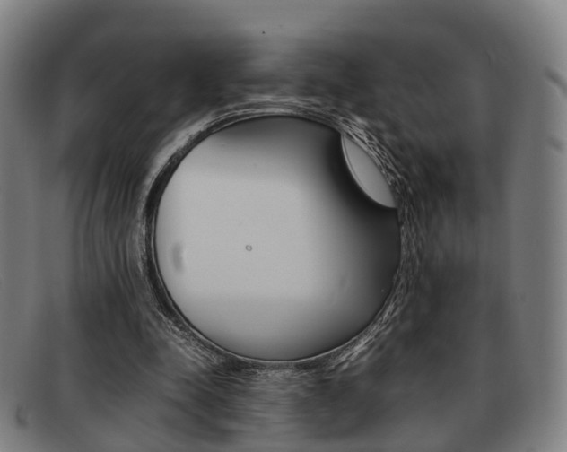 X0000092060342200709121010