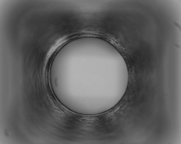 X0000092060343200709121010