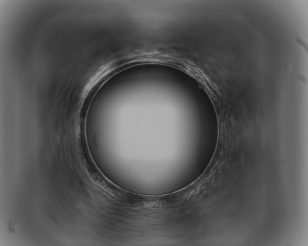 X0000092060344200709121010