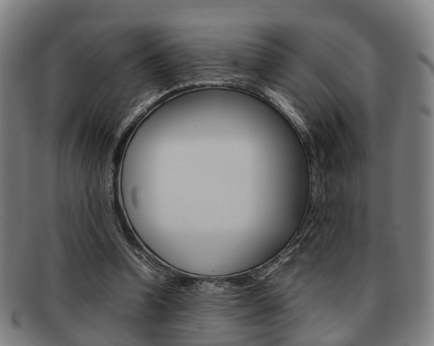 X0000092060346200709121010