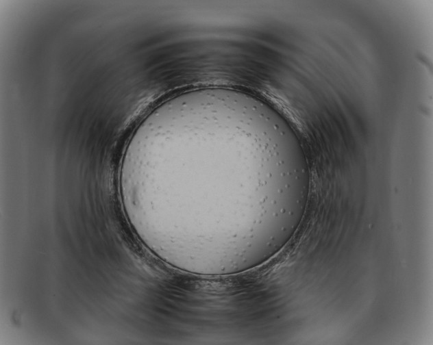 X0000092060347200709121010
