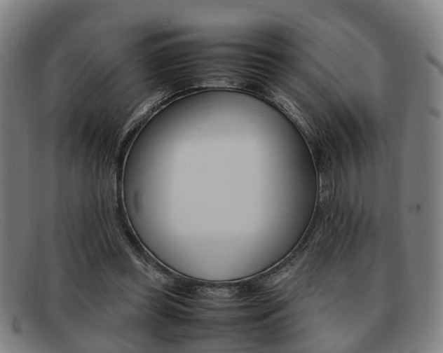 X0000092060349200709121010