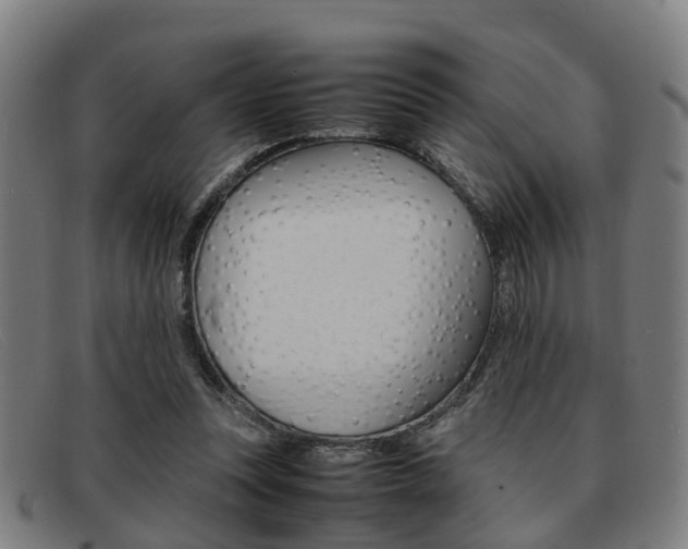 X0000092060351200709121010