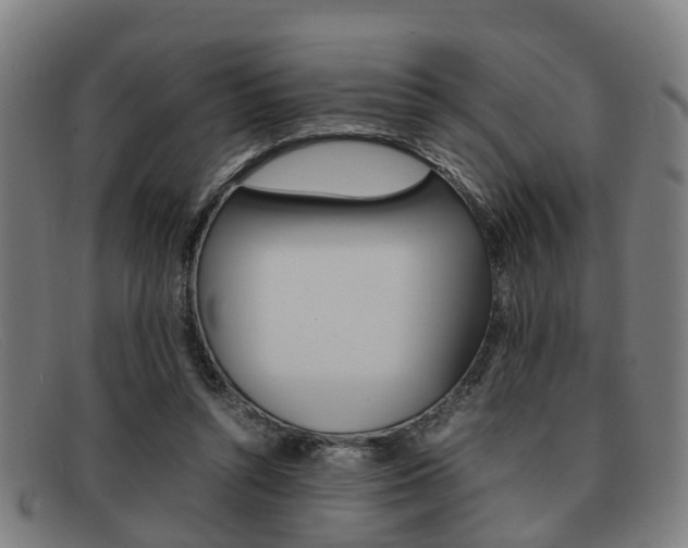 X0000092060352200709121010
