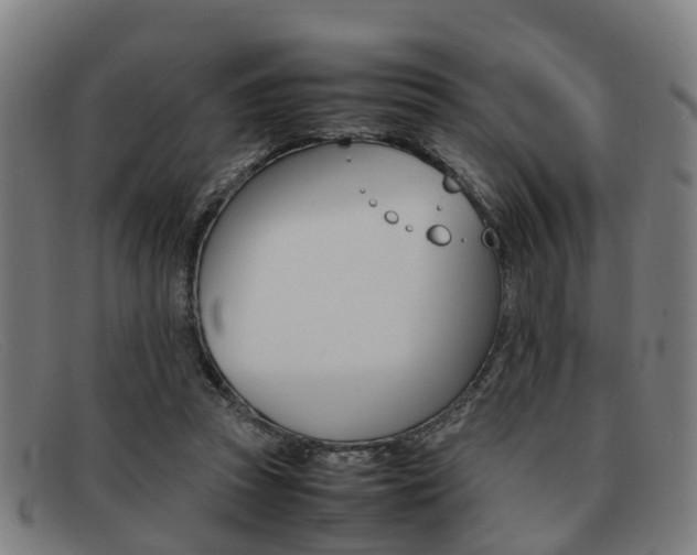X0000092060353200709121010