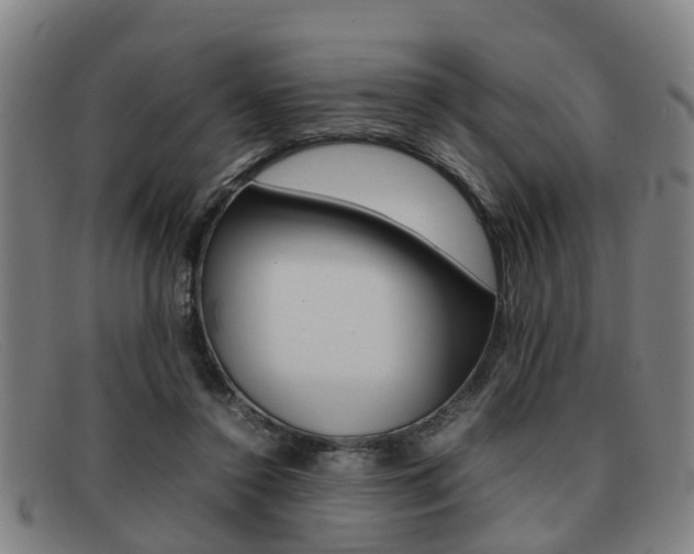 X0000092060356200709121011