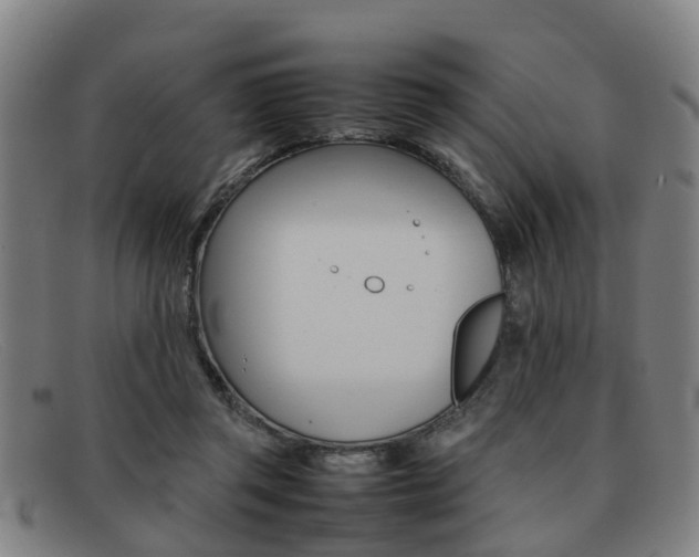 X0000092060357200709121011