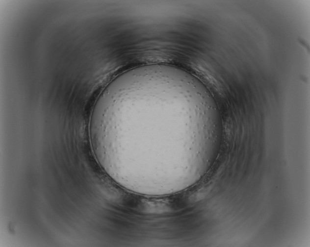 X0000092060359200709121011