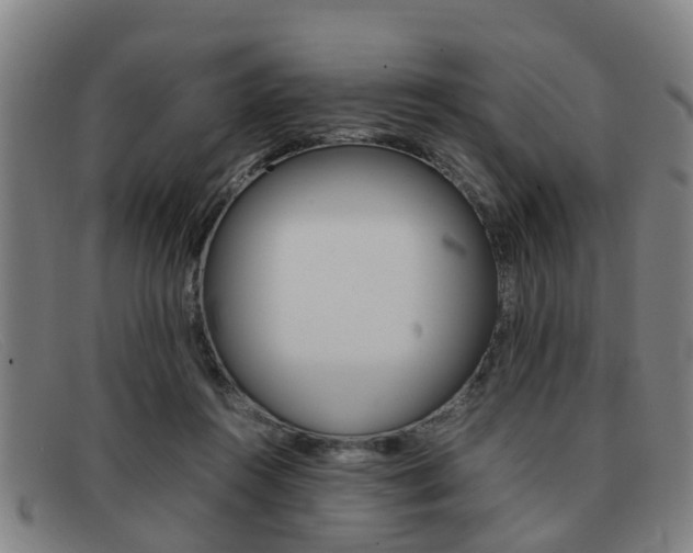 X0000092060360200709121011