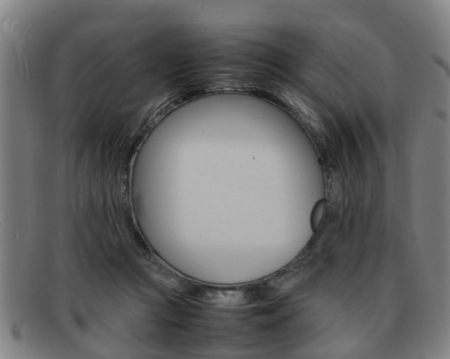 X0000092060361200709121011