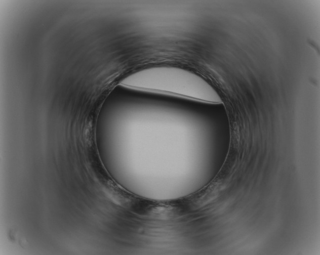 X0000092060364200709121011