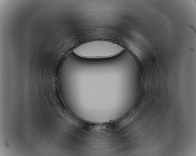 X0000092060366200709121011