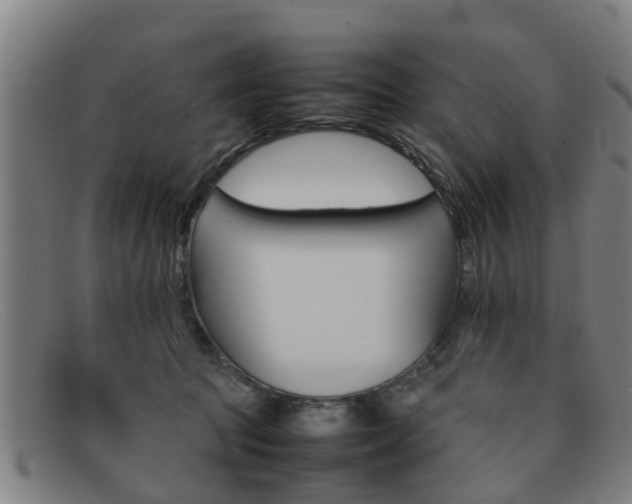 X0000092060369200709121011