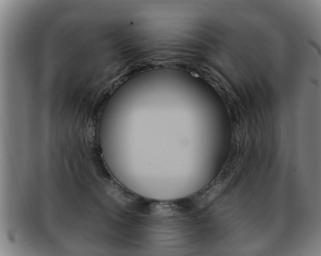 X0000092060372200709121011