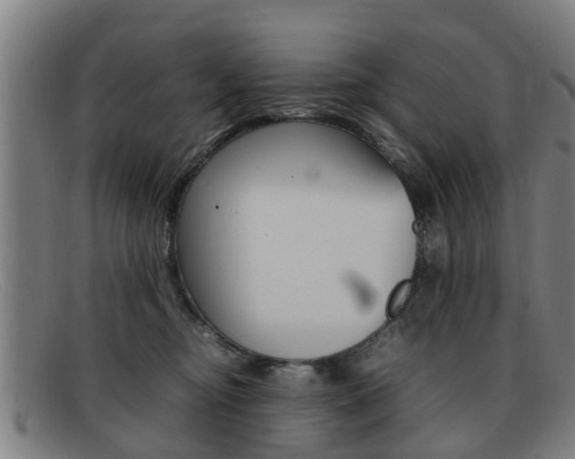 X0000092060374200709121011