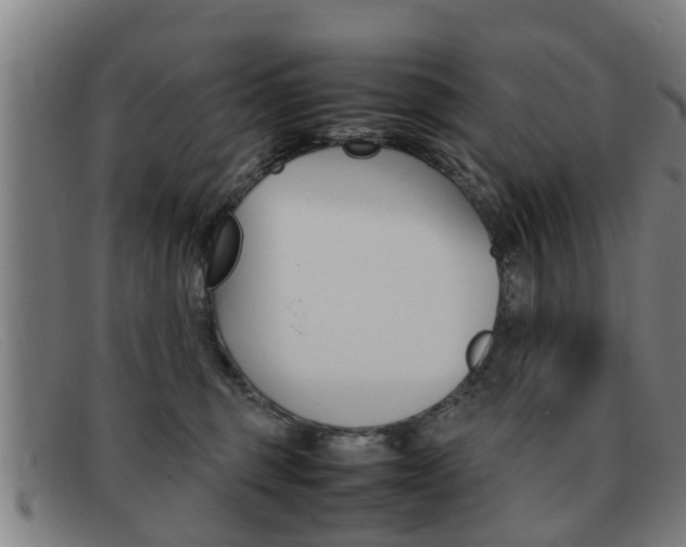 X0000092060375200709121011