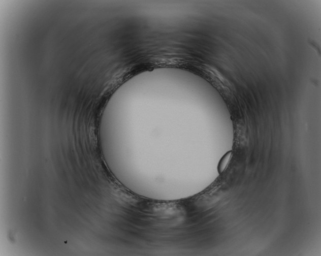 X0000092060377200709121011