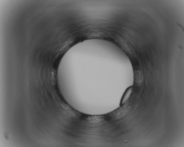 X0000092060378200709121011
