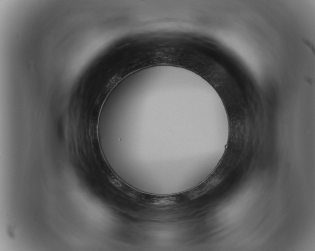 X0000092060382200709121011