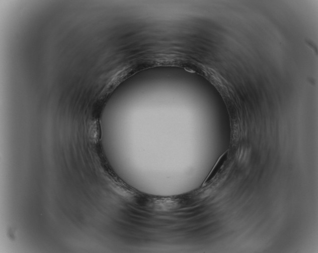 X0000092060383200709121011
