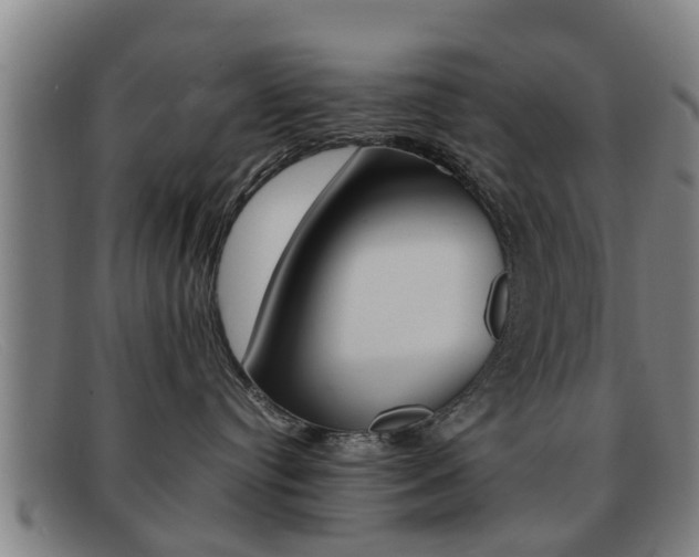 X0000092060384200709121011