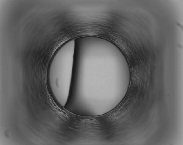 X0000092060386200709121010