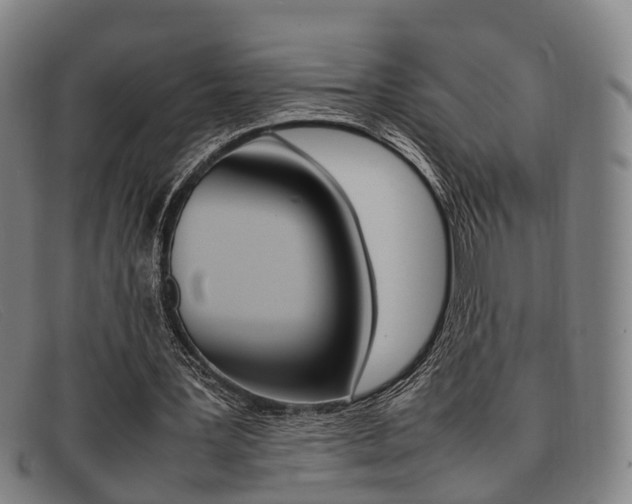 X0000092060387200709121010
