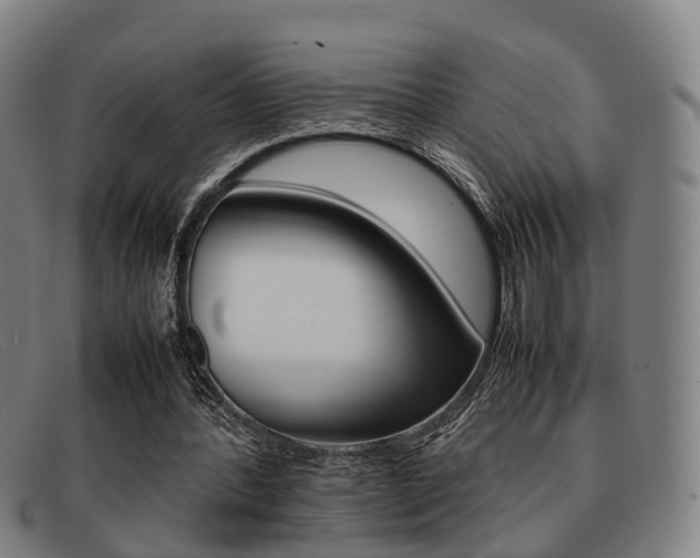 X0000092060388200709121010