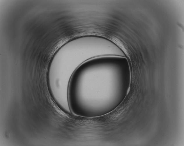 X0000092060389200709121010
