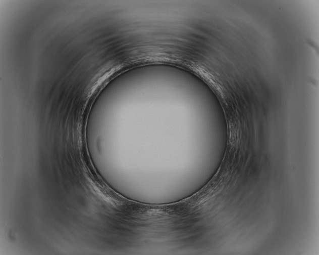 X0000092060390200709121010