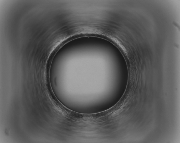 X0000092060391200709121010