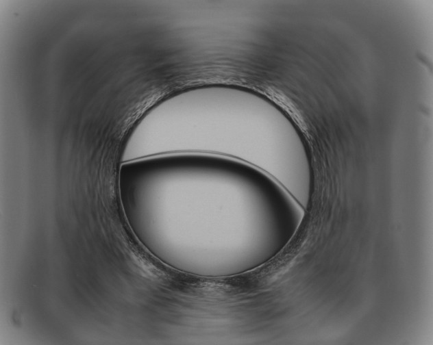 X0000092060393200709121010