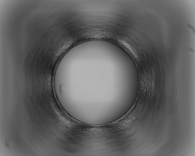 X0000092060394200709121010