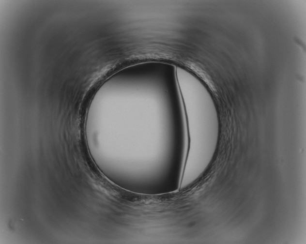 X0000092060395200709121010