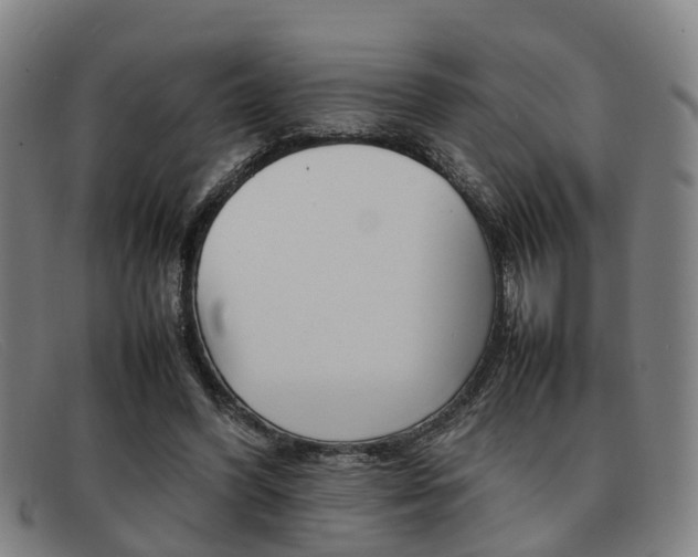 X0000092060396200709121010