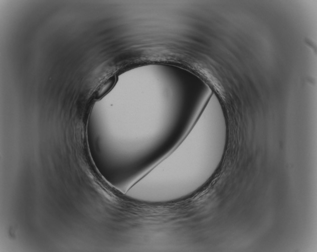 X0000092060397200709121010