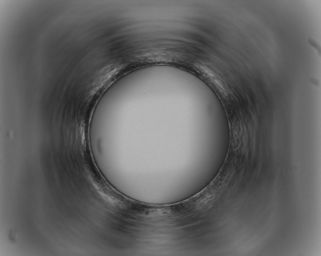 X0000092060398200709121010