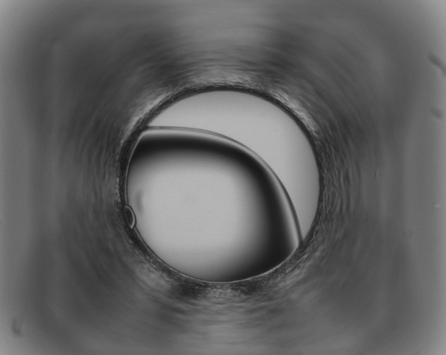 X0000092060399200709121010