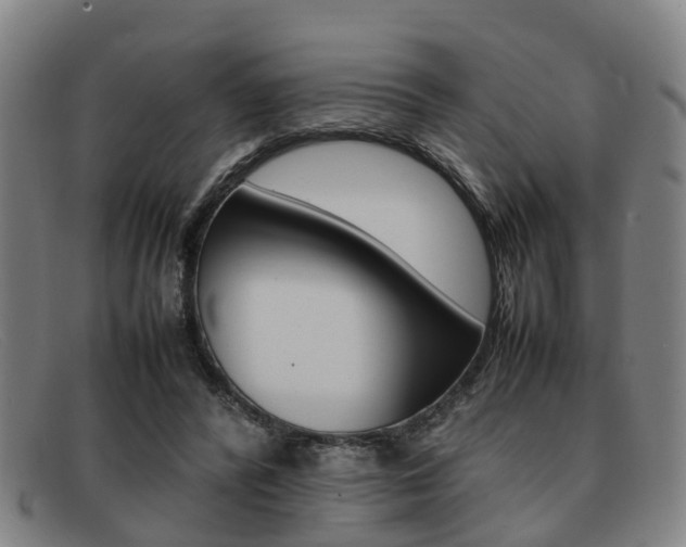 X0000092060400200709121010