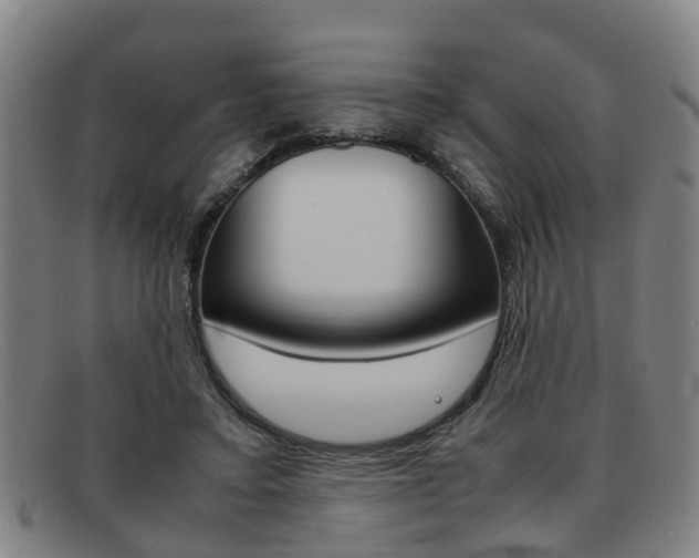 X0000092060403200709121010