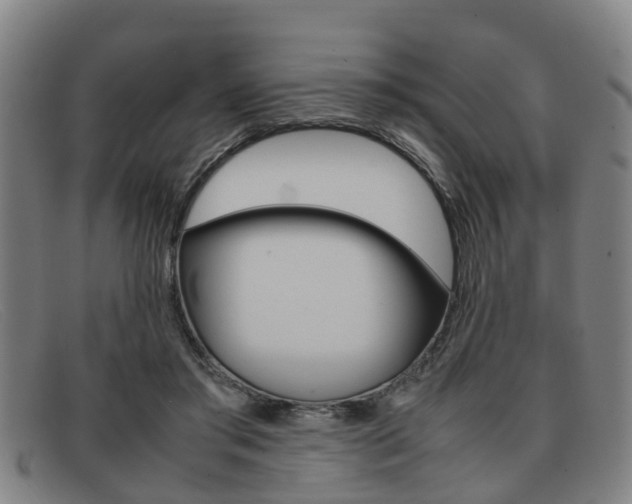 X0000092060405200709121010