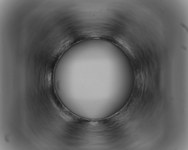 X0000092060406200709121010