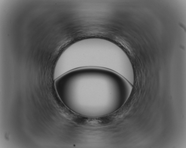 X0000092060407200709121010