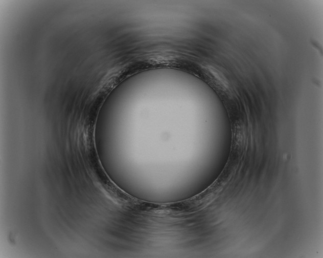 X0000092060408200709121010
