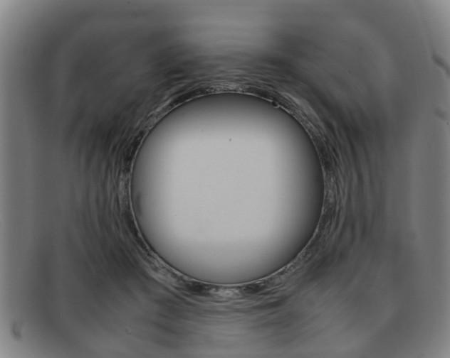 X0000092060409200709121010