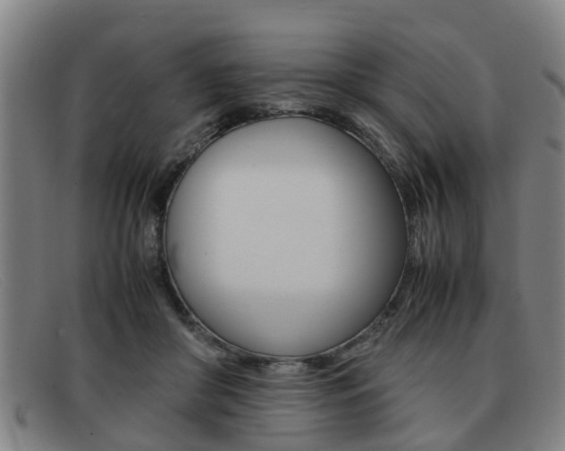 X0000092060410200709121010