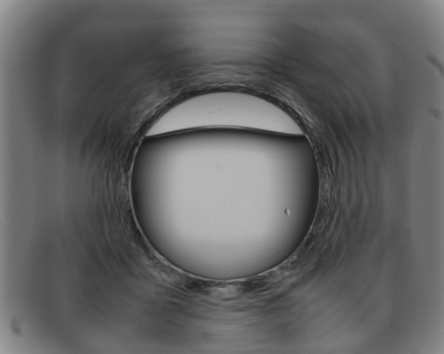 X0000092060411200709121010