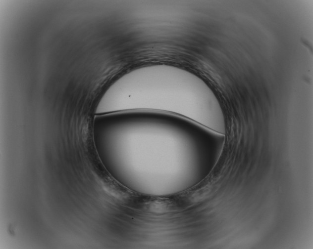 X0000092060412200709121010
