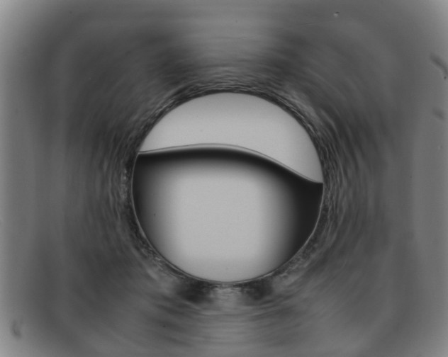 X0000092060413200709121010